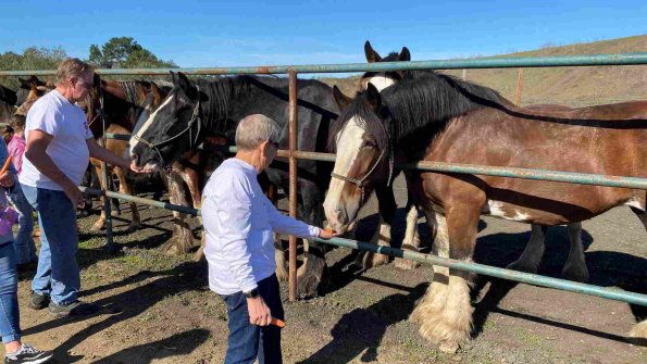 Cambria_2021_0094_01