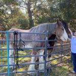 Cambria_2021_0109_01 (November 06, 2021)