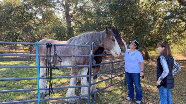 Cambria_2021_0109_01