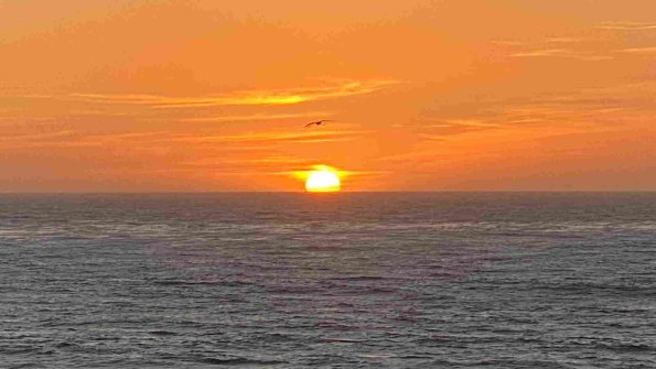 Cambria_2021_0158_01