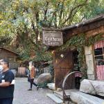 DSC_0018_01 (November 04, 2021)