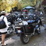 DSC_0033_01 (November 04, 2021)