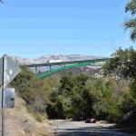 DSC_0035_01 (November 04, 2021)