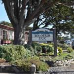 DSC_0052_01 (November 06, 2021)