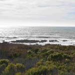 DSC_0053_01 (November 06, 2021)