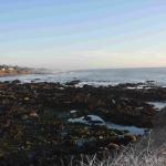 DSC_0063_01 (November 06, 2021)