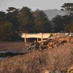 DSC_0064_01 (November 06, 2021)