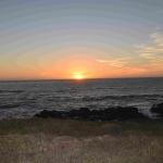 DSC_0083_01 (November 06, 2021)