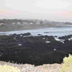 DSC_0085_01 (November 06, 2021)