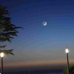 DSC_0095_01 (November 06, 2021)