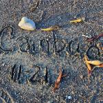 IMG_6077 (November 04, 2021)