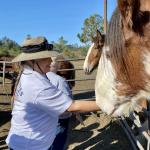 IMG_6359 (November 06, 2021)