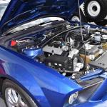 DSC_0123_01 (October 24, 2021)