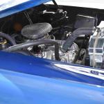 DSC_0127_01 (October 24, 2021)