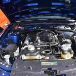 DSC_0134_01 (October 24, 2021)