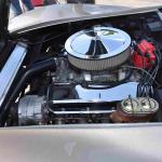 DSC_0135_01 (October 24, 2021)