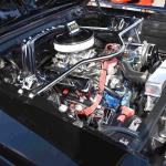 DSC_0137_01 (October 24, 2021)