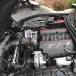 DSC_0050_01 (May 29, 2021)