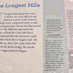 DSC_0066_01 (July 11, 2021)