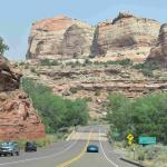 DSC_0081_01 (July 11, 2021)