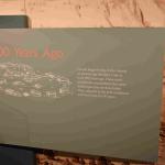 DSC_0086_01 (July 11, 2021)