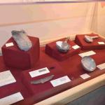 DSC_0090_01 (July 11, 2021)