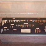 DSC_0105_01 (July 11, 2021)