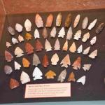 DSC_0107_01 (July 11, 2021)