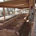 DSC_0111_01 (July 11, 2021)