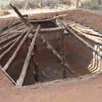 DSC_0115_01 (July 11, 2021)