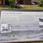 DSC_0129_01 (July 11, 2021)