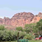 DSC_0131_01 (July 11, 2021)