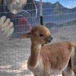 DSC_0200_01 (July 12, 2021)