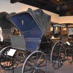 DSC_0289_01 (July 13, 2021)