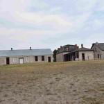 DSC_0311_01 (July 13, 2021)