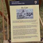 DSC_0324_01 (July 13, 2021)