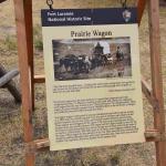 DSC_0330_01 (July 13, 2021)