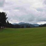 DSC_0390_01 (July 14, 2021)