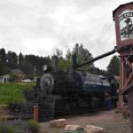 DSC_0399_01 (July 14, 2021)