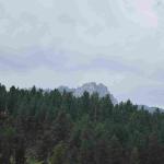 DSC_0406_01 (July 14, 2021)