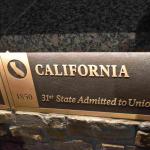 DSC_0547_01 (July 15, 2021)