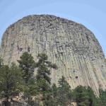 DSC_0585_01 (July 16, 2021)