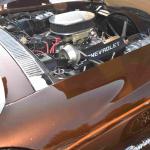 DSC_0609_01 (July 16, 2021)