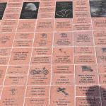 DSC_0750_01 (July 18, 2021)