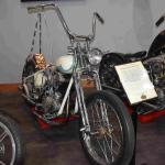 DSC_0760_01 (July 18, 2021)