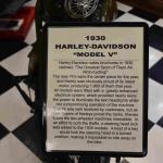 DSC_0776_01 (July 18, 2021)