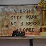 DSC_0787_01 (July 18, 2021)