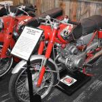 DSC_0816_01 (July 18, 2021)