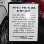 DSC_0821_01 (July 18, 2021)