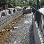 DSC_0902_01 (July 21, 2021)